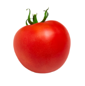 pomodoro